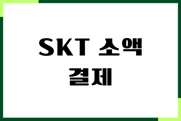 SKT 소액 결제 납부, 간편 결제, 즉시 취소, 주의사항